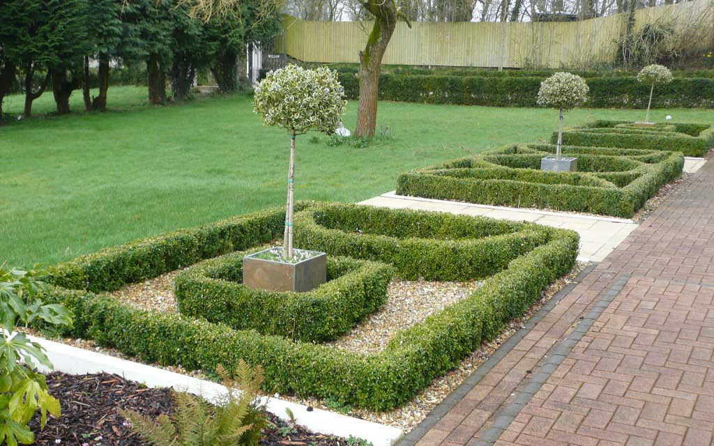 Knot garden