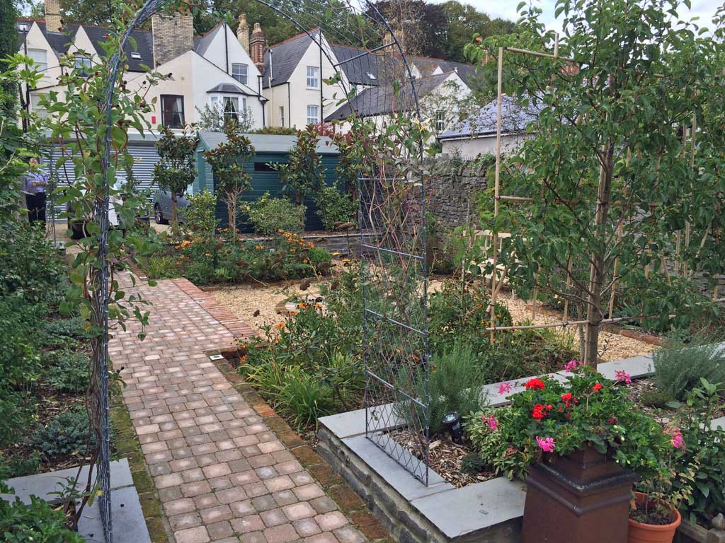 flower Rogerstone GardensCardiff Garden DesignWales Garden Design